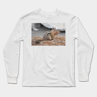 Cascade golden-mantled ground squirrel gathering nesting material Long Sleeve T-Shirt